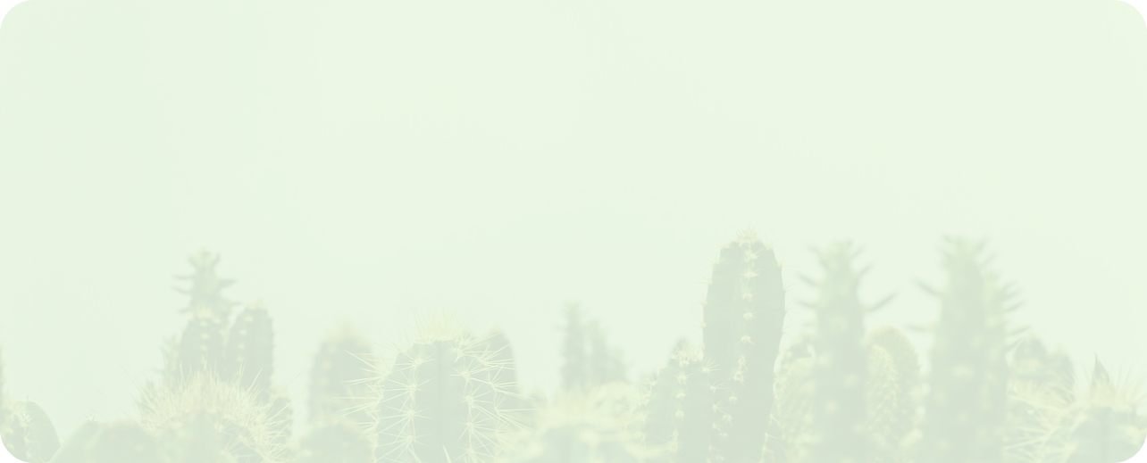 Fondo